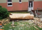 1. Den vyřezávání patronky naší školy 1. Den vyřezávání patronky naší školy