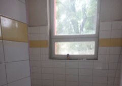 Prostory lednic, zelenina.jpeg