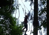 lanovy-park-kladno_76.jpg