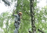 lanovy-park-kladno_56.jpg