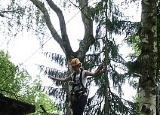 lanovy-park-kladno_49.jpg