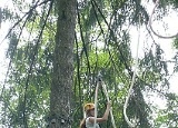 lanovy-park-kladno_107.jpg