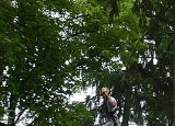 lanovy-park-kladno_54.jpg