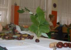 prace-s-prirodnimi-materialy_23.jpg