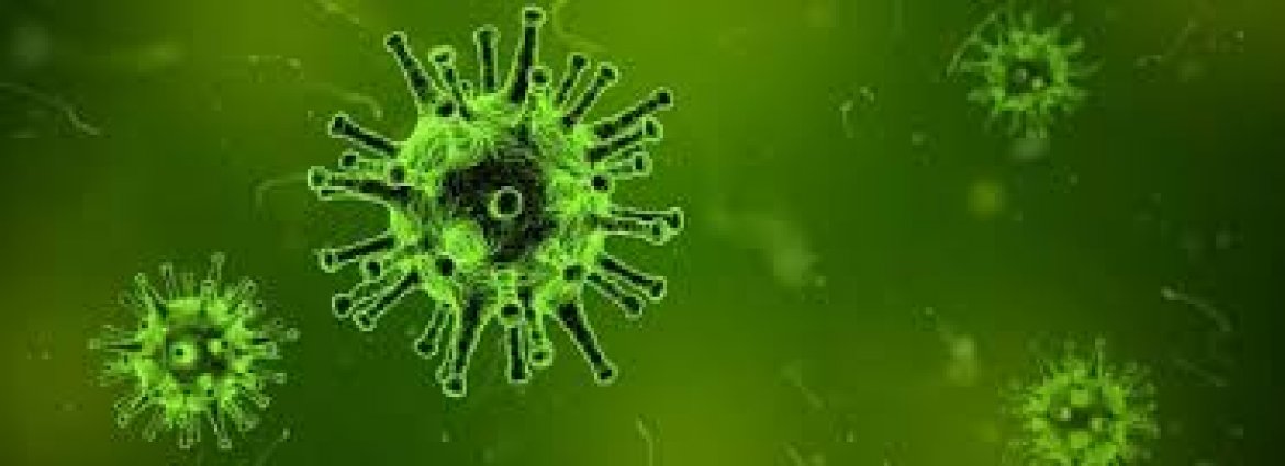 l3764vca5n_____Virus l3764vca5n_____Virus